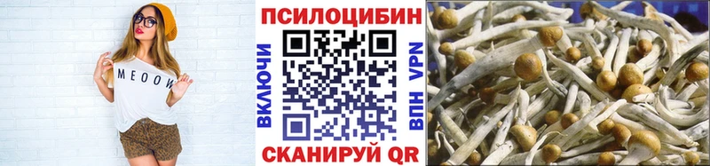 Псилоцибиновые грибы Psilocybe  Каргат 