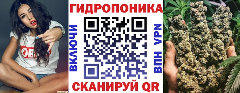 Шишки марихуана MAZAR Каргат